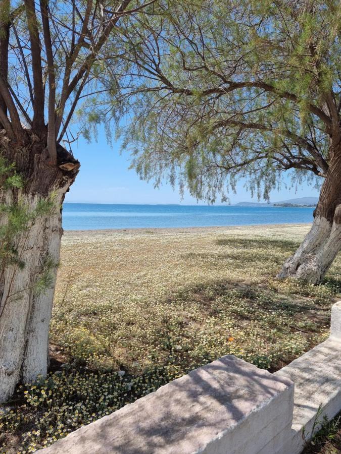Aparthotel To Kyma Amarynthos Esterno foto
